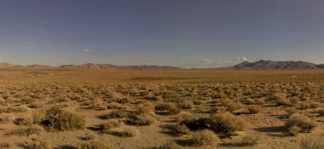 Octavia Butler's fallen California