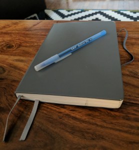 Olamina's religion journal